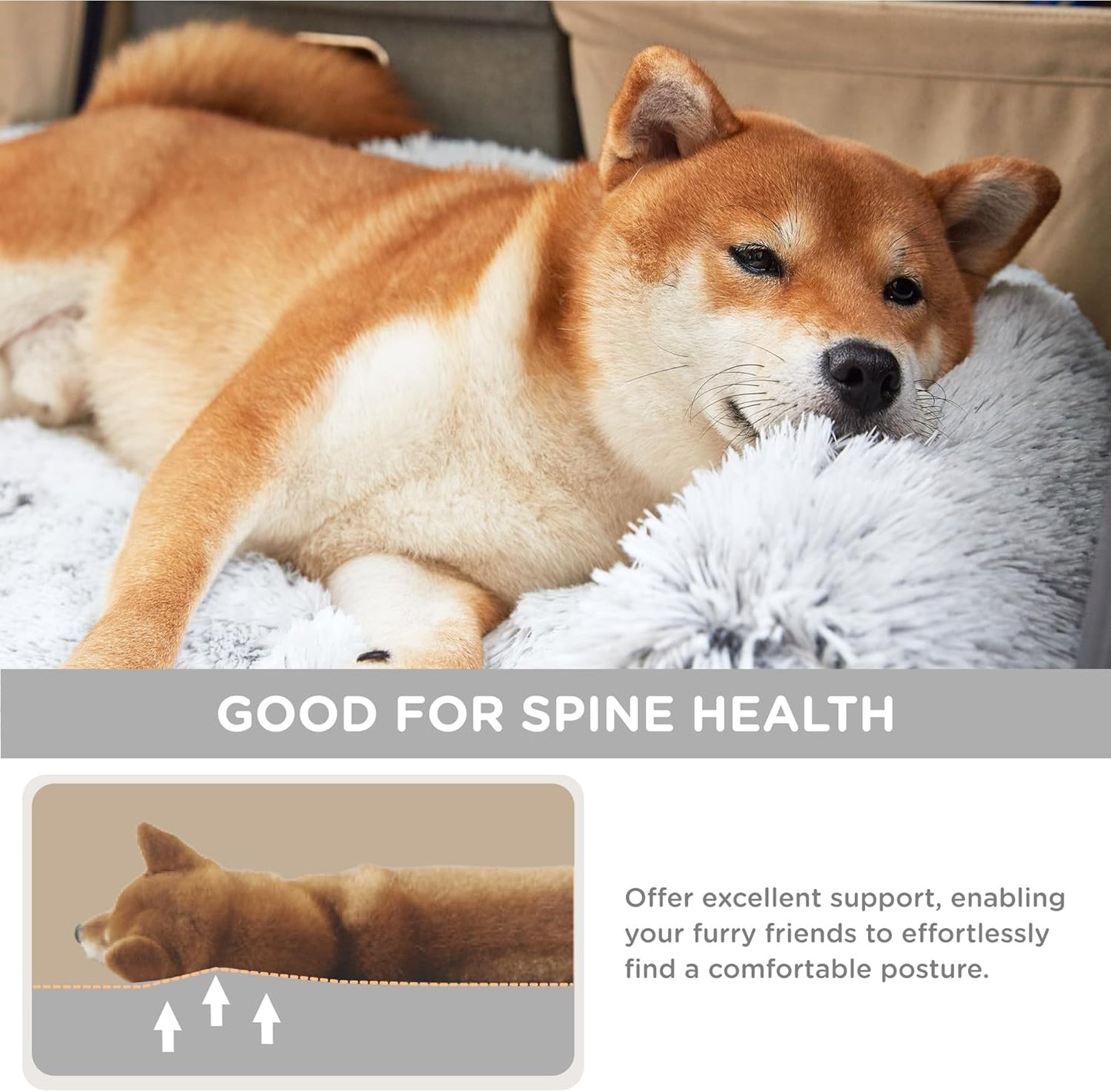Cama Humana para Perros Snoopy™