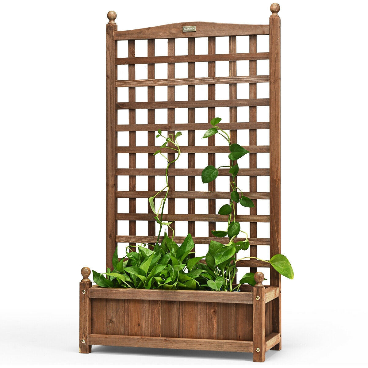 Jardinera de madera maciza con enrejado resistente a la intemperie para exteriores