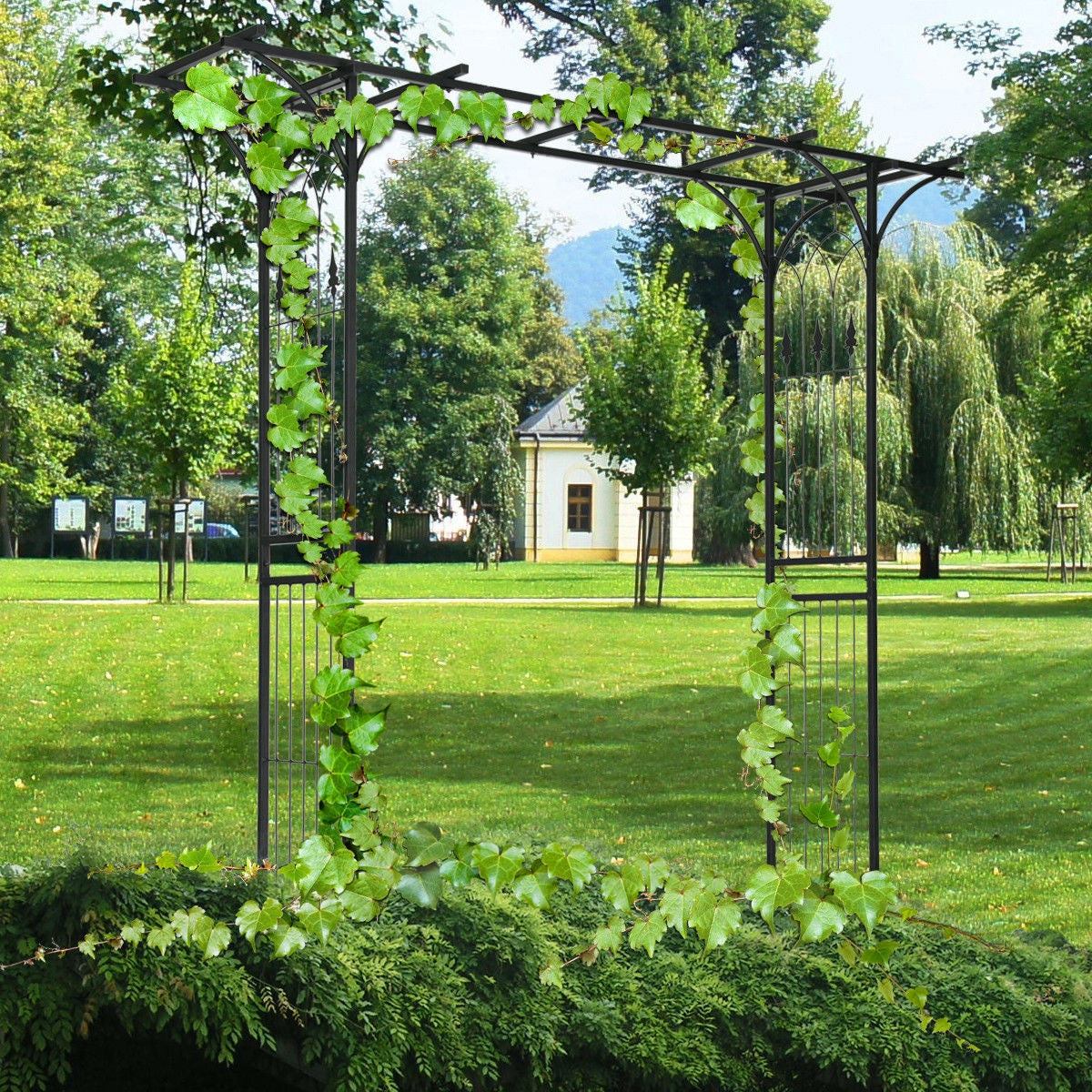 Pérgola Arco Jardín Boda Rosa Arco