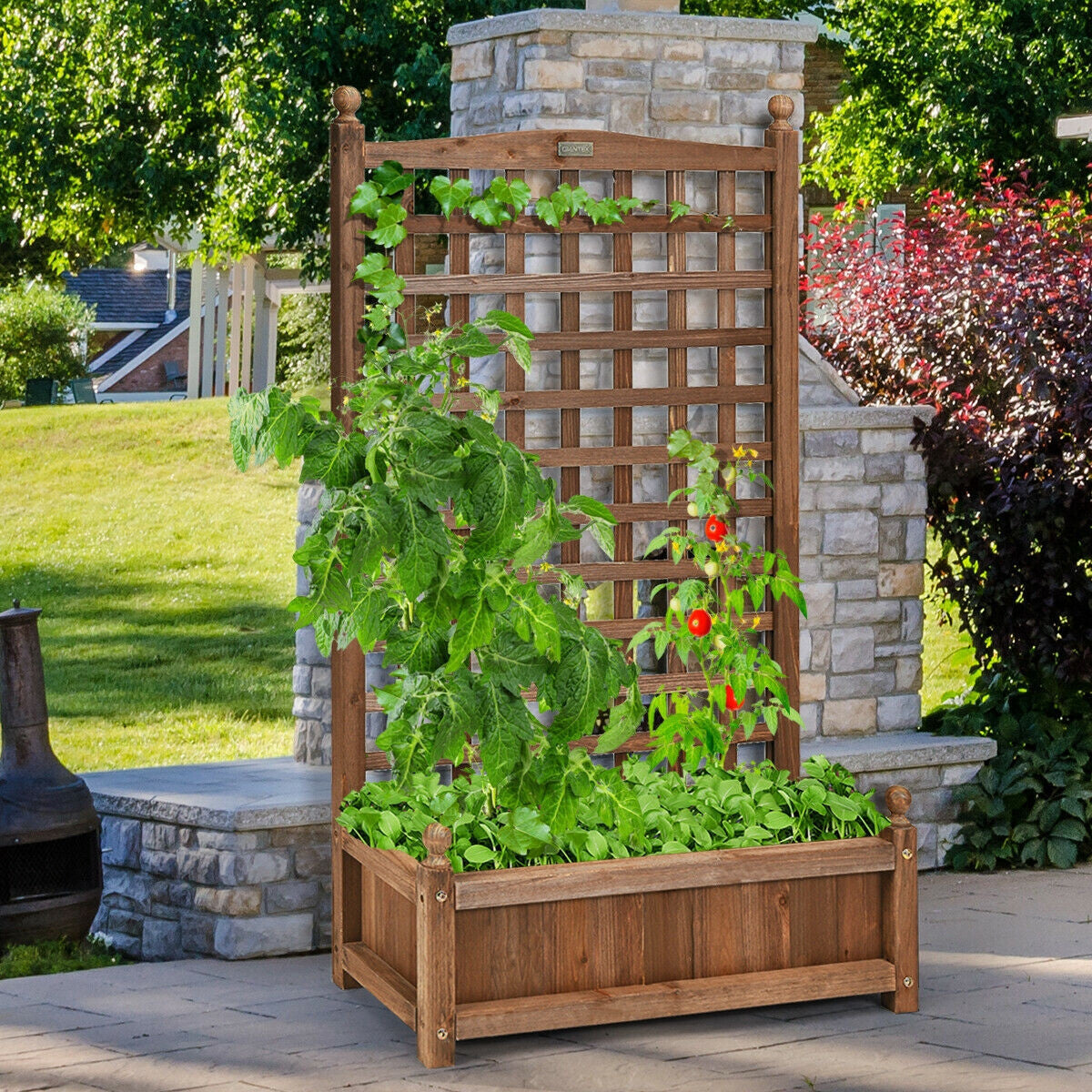 Jardinera de madera maciza con enrejado resistente a la intemperie para exteriores
